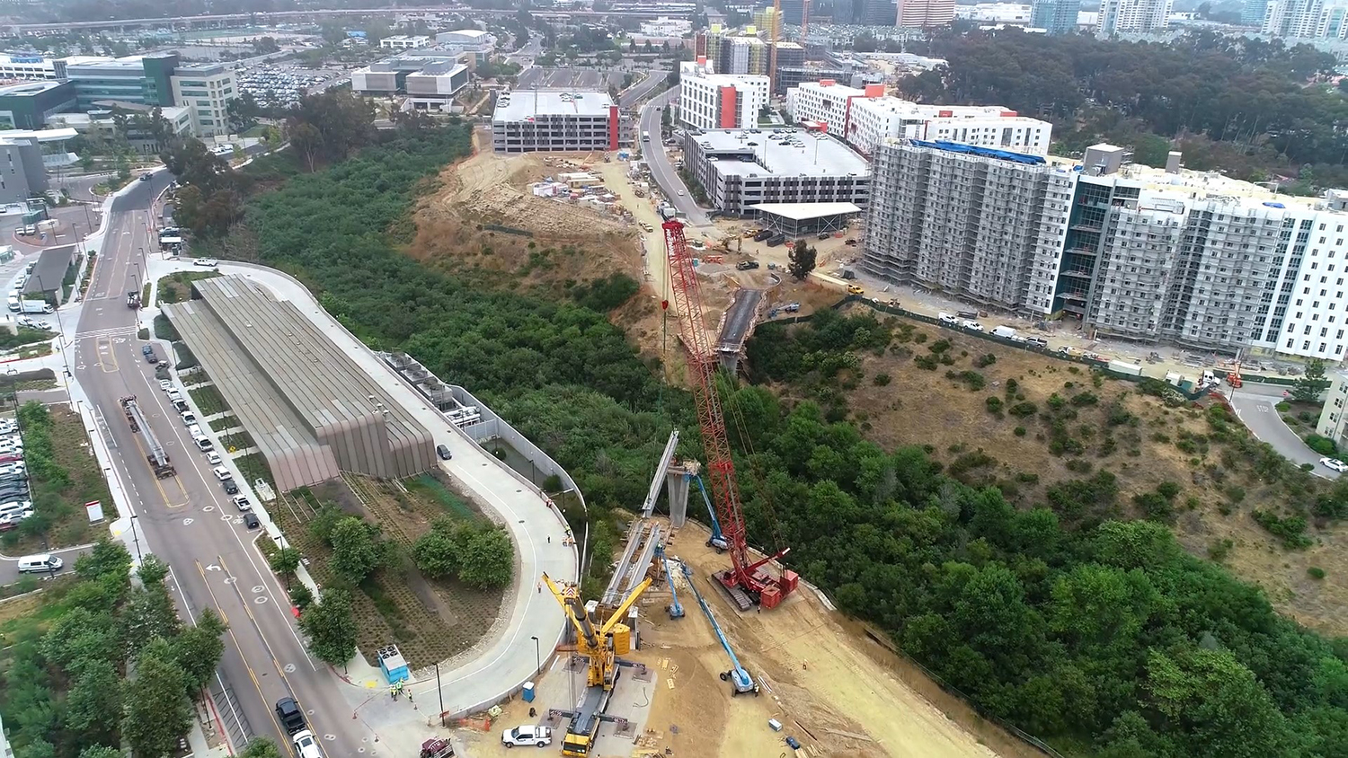 Canyon with cranes