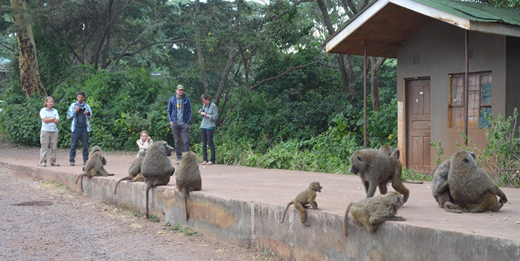 UC San Diego graduate students during a CARTA specialization track field course trip to East Africa.