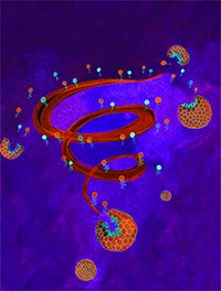 illustration of vortex with lipids and membranes