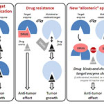 New Way to Target – And Kill – Proliferating Tumors