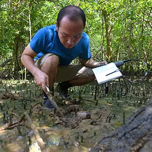 Flatworms Flout Global Biodiversity Patterns