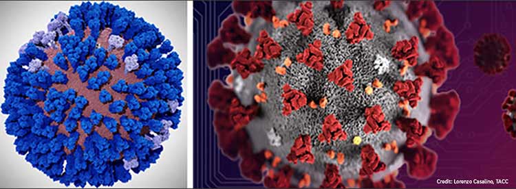 all-atom influenza virus simulations and coronavirus