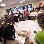 A Cross-Cultural Journey to Improve Human Rights