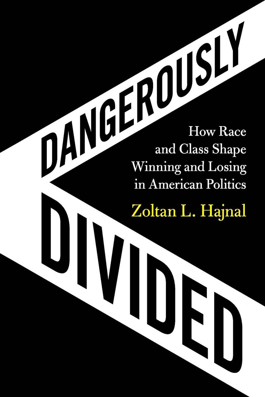 Dangerously Divided book jacket