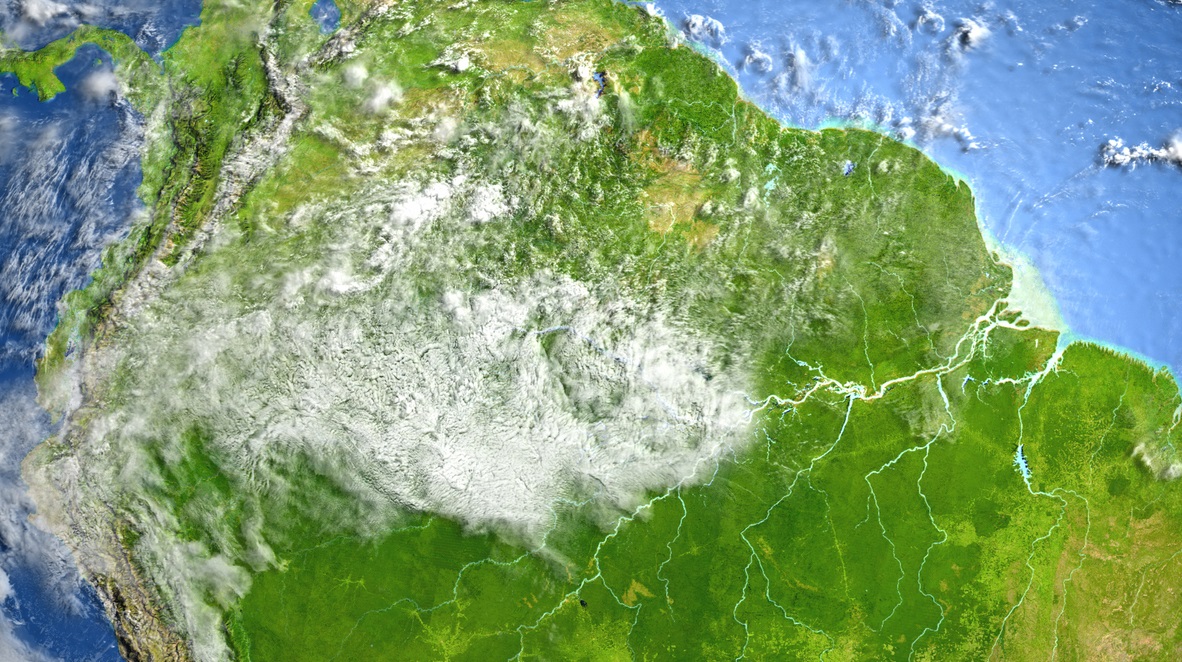 View from space of tropical forest