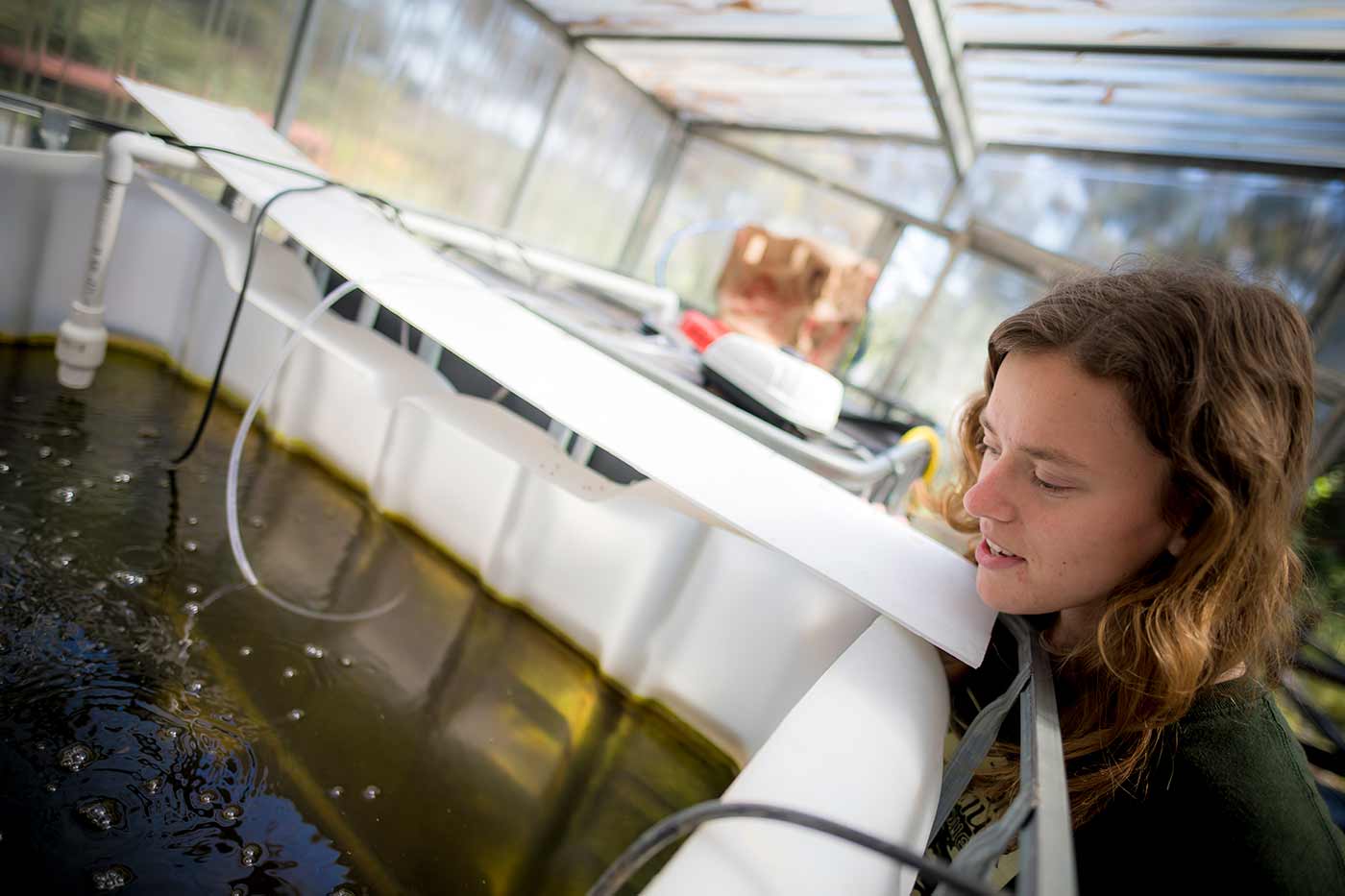 Enid Partika inspecting anaerobic digestion