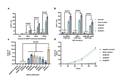 four graphs showing efficacy of DNA-NLS conjugates