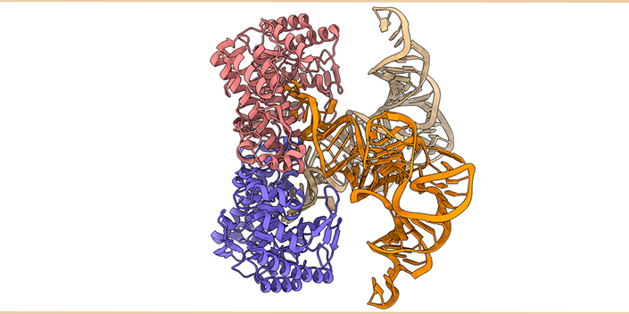 colorful cry-em visualization of e. coli TGT structure