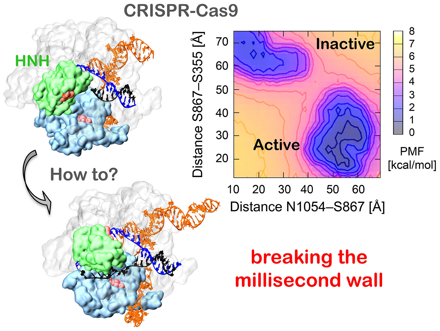 Image of CRISPR-Cas9 activity at Atomic Level Detail