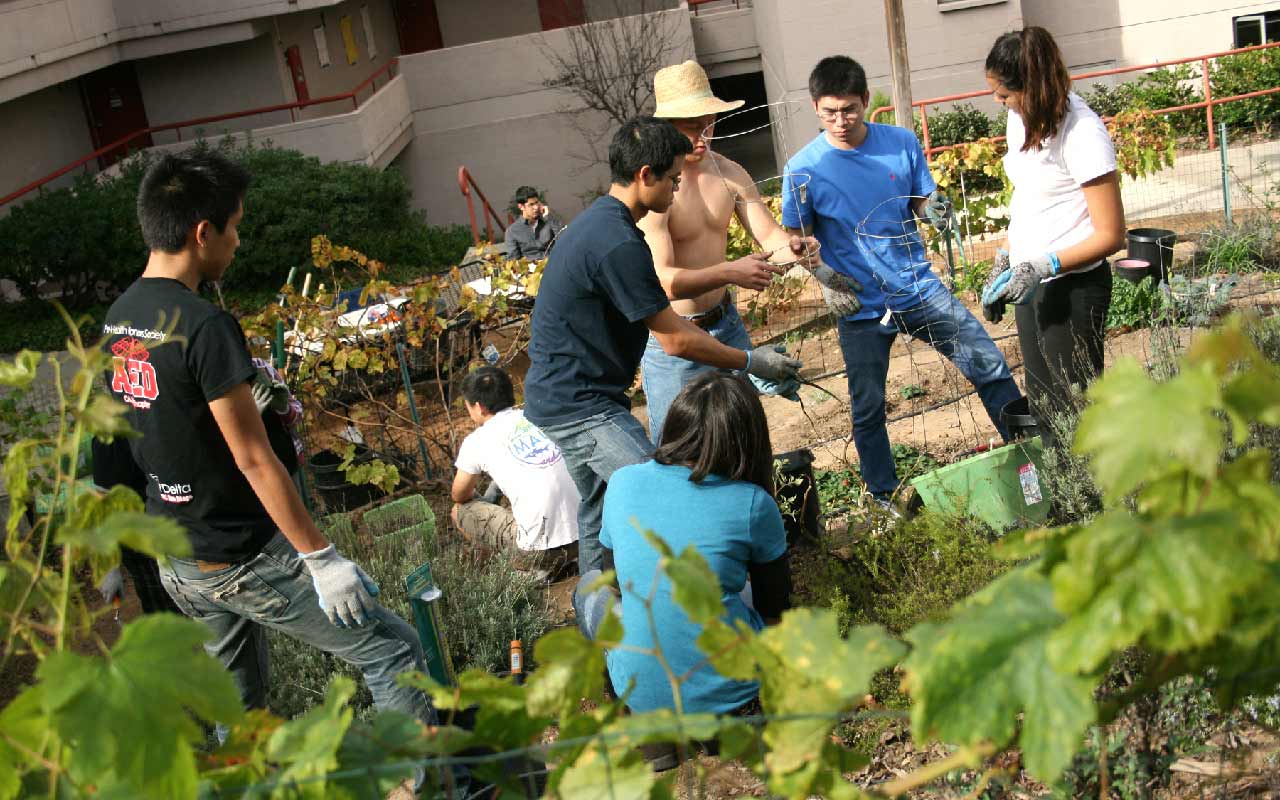 Sustainably Feeding the Hungry