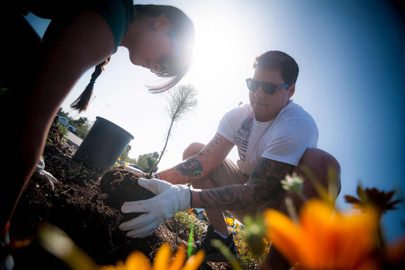 UC San Diego students planting a tree