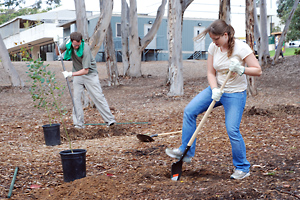 people planting trees during Earth Week