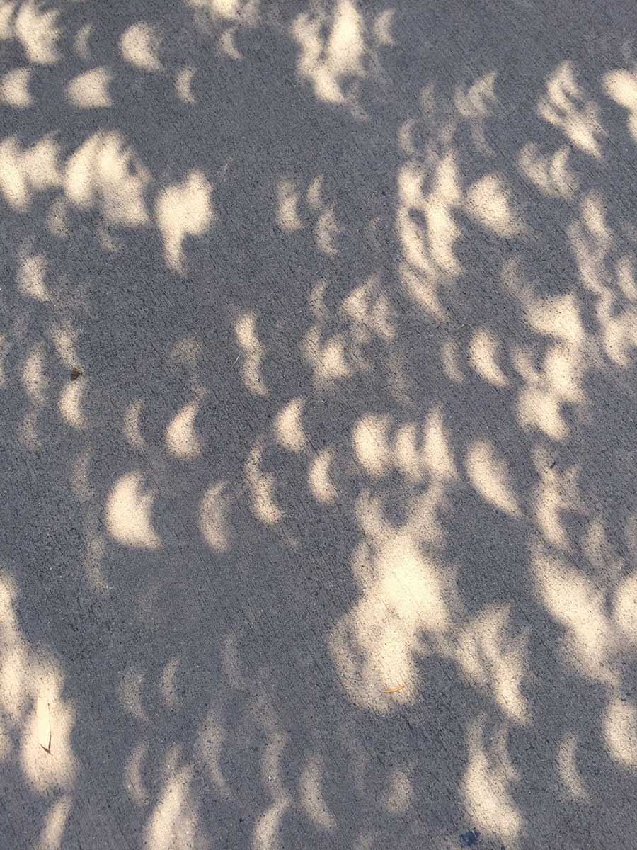eclipse shadows