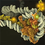 Computational Strategy Helps to Map Human Epigenome