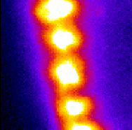 Excitons self organize into an ordered array that looks like a miniature pearl necklace.