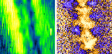 a correlation between the coherence and spin polarization of the excitons.