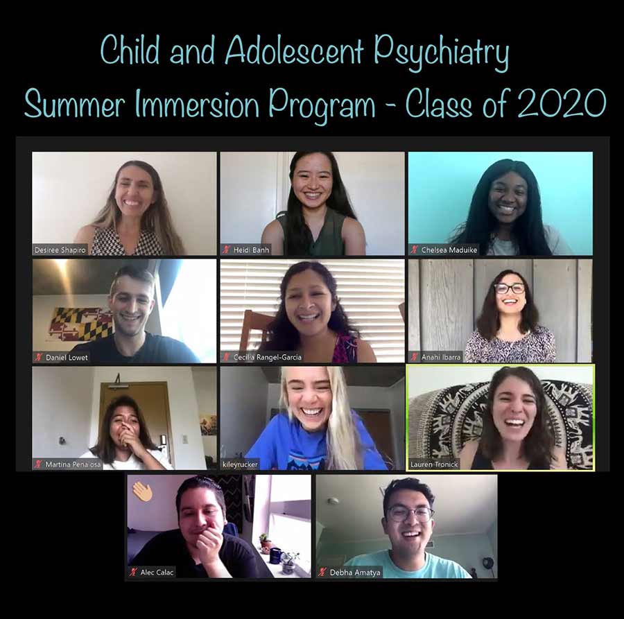 Child and Adolescent Psychiatry Inclusive Excellence Summer Program on zoom.