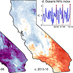 Why Was the 2015-16 El Niño Event So Dry?