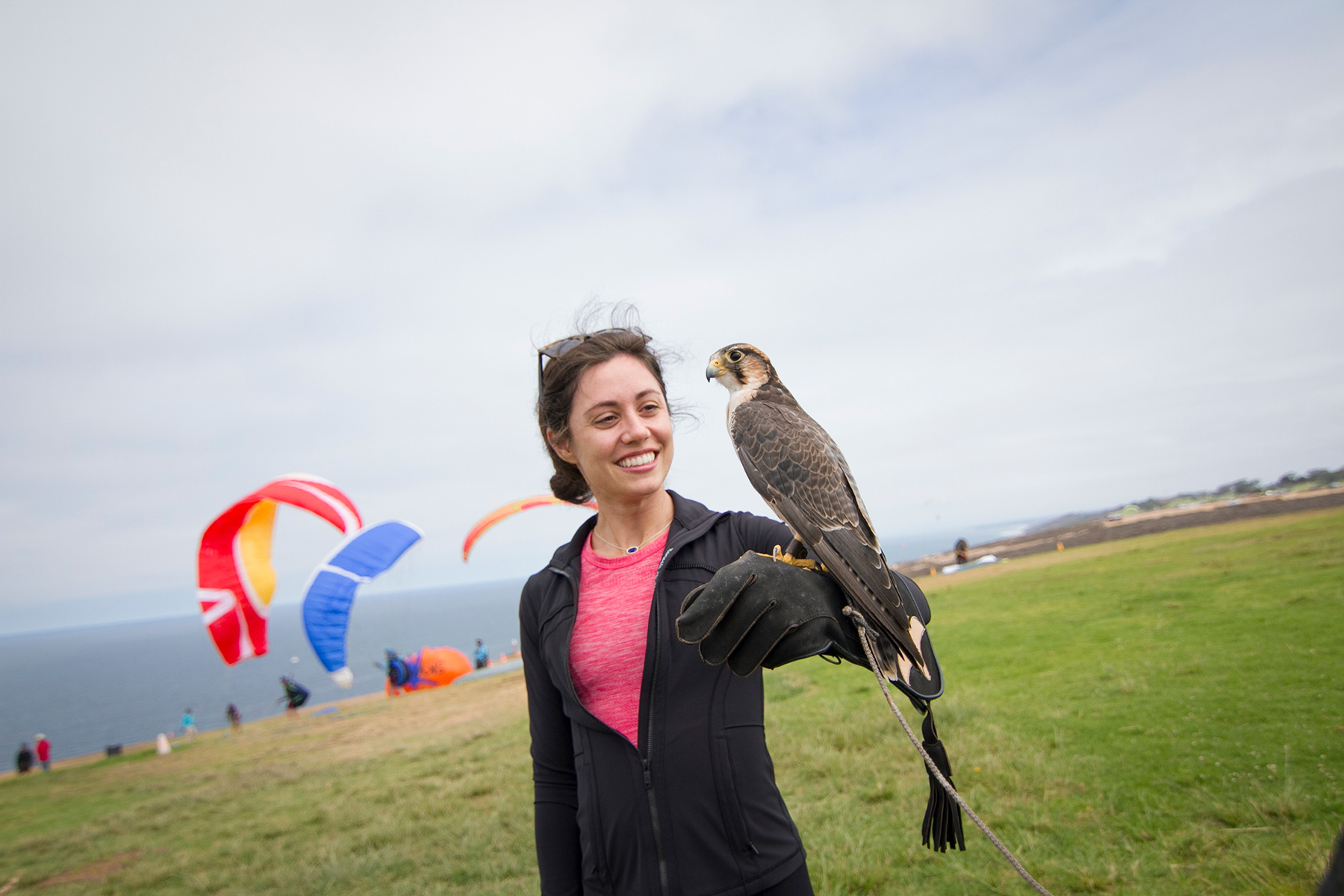 Educator with falcon at a paragliding spot near a beach cliff
