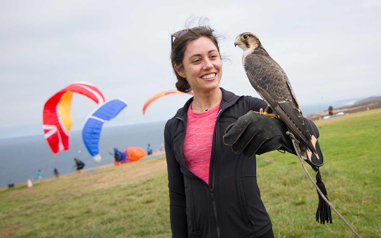 Free Flying with Falcons