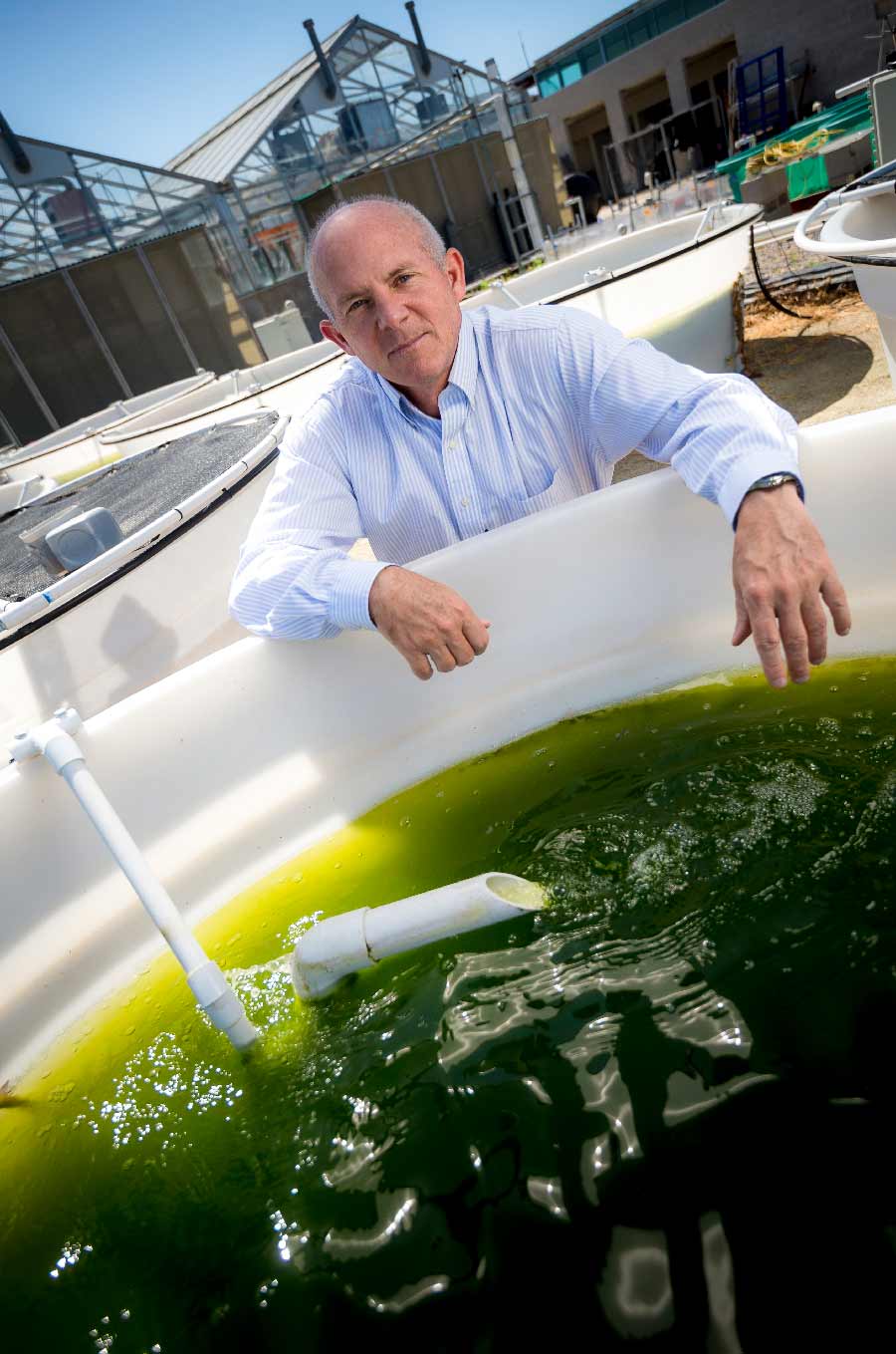 Genetically engineered algae UC San Diego