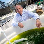 Scientists Complete First EPA-Approved Outdoor Field Trial for Genetically Engineered Algae