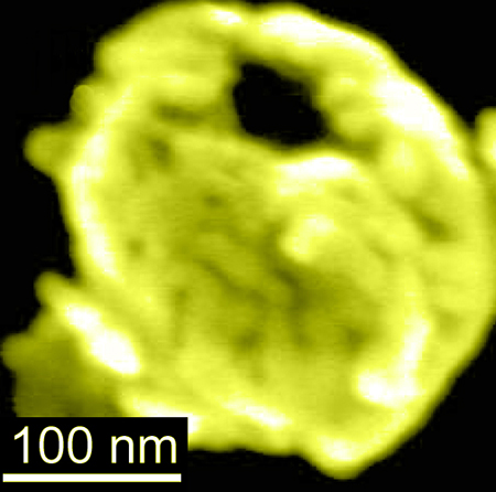 Gold-coated magnetic nanobowl
