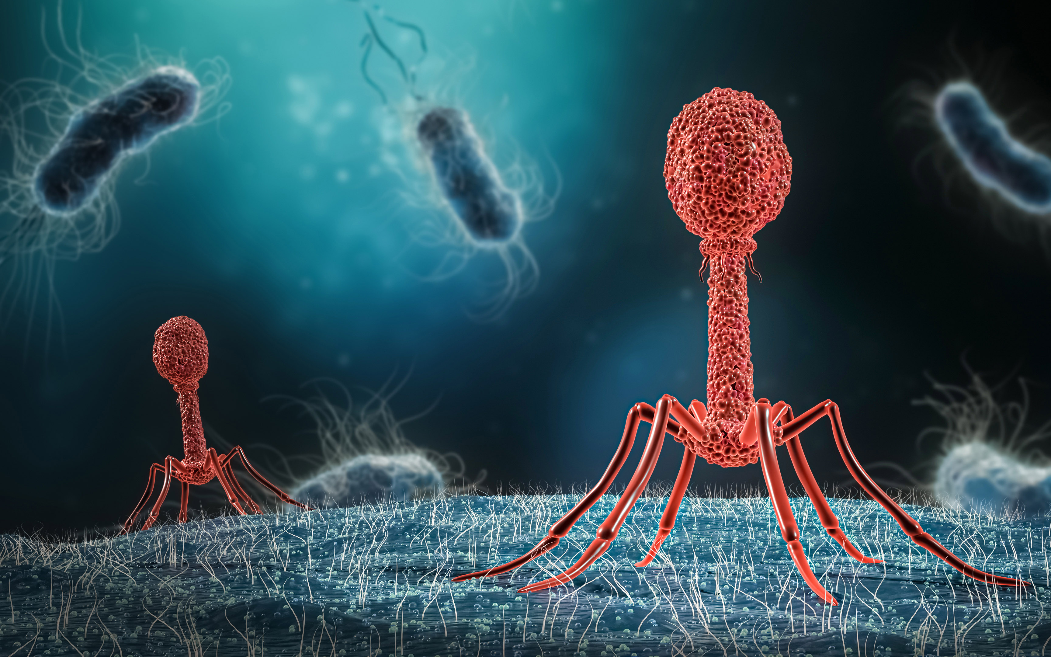 Evolve… Innovate… Repeat: Scientists Peel Back the Layers of Virus-Host Evolution and Innovation