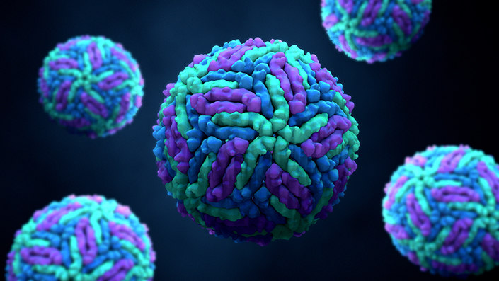 Virus illustration