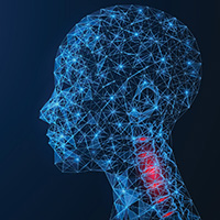 Cervical spine diagram