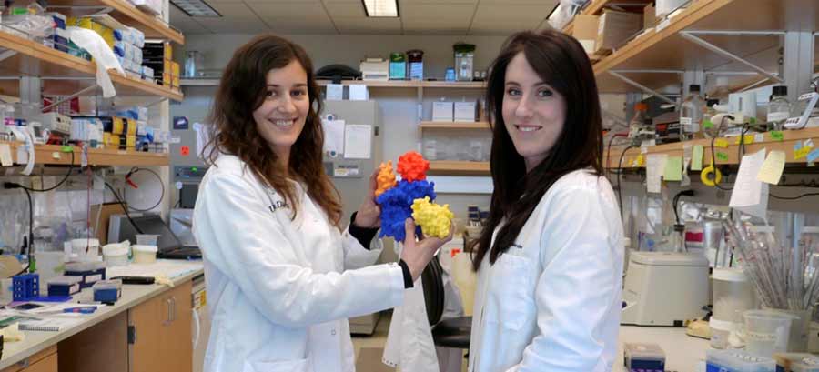 Graduate students hold a model of Protein Kinase C,