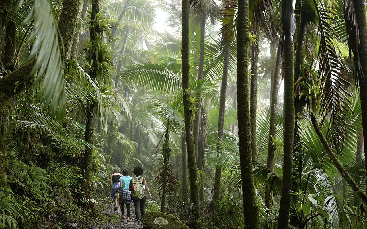 Mapping Earth’s Microbiome