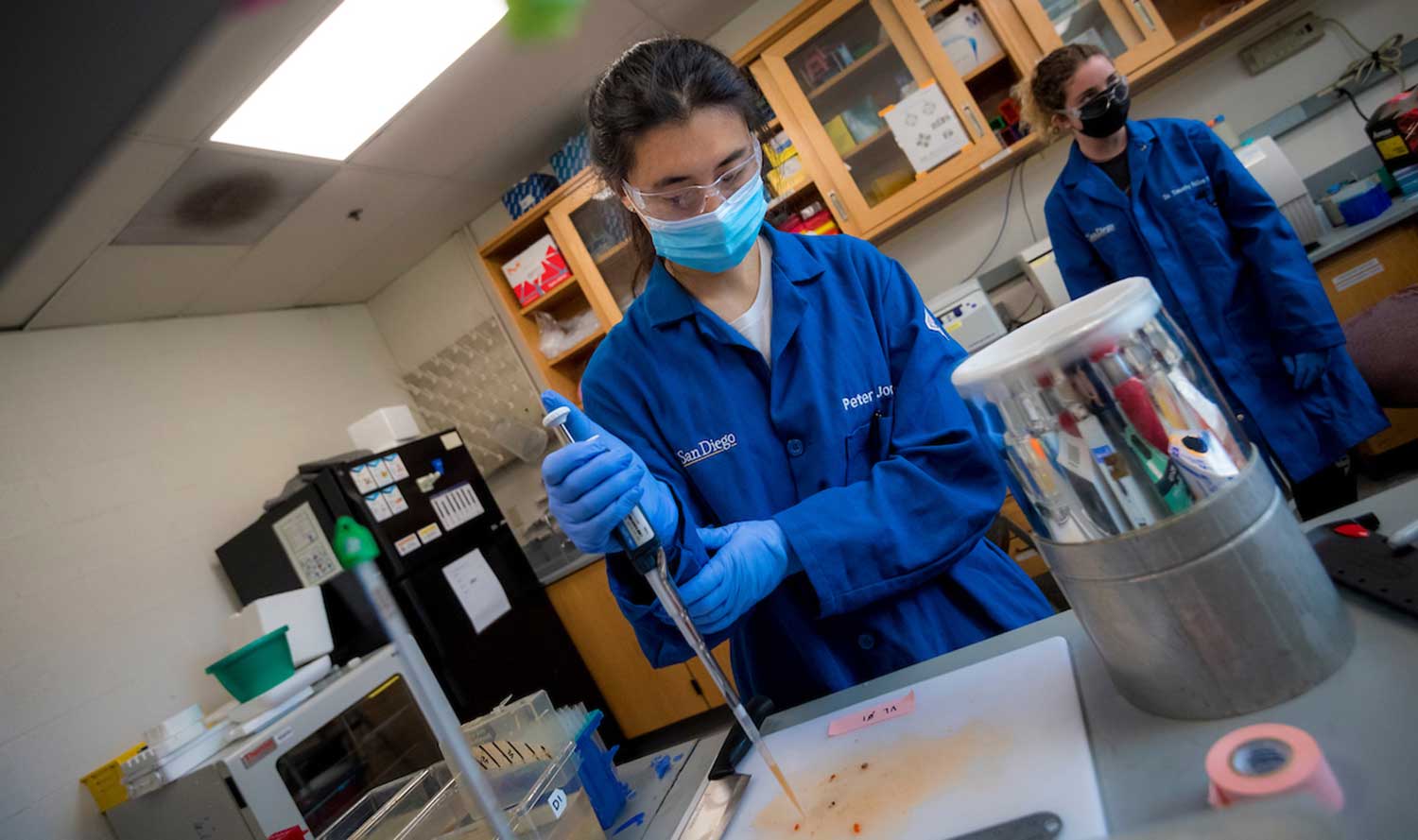 Researcher in lab.