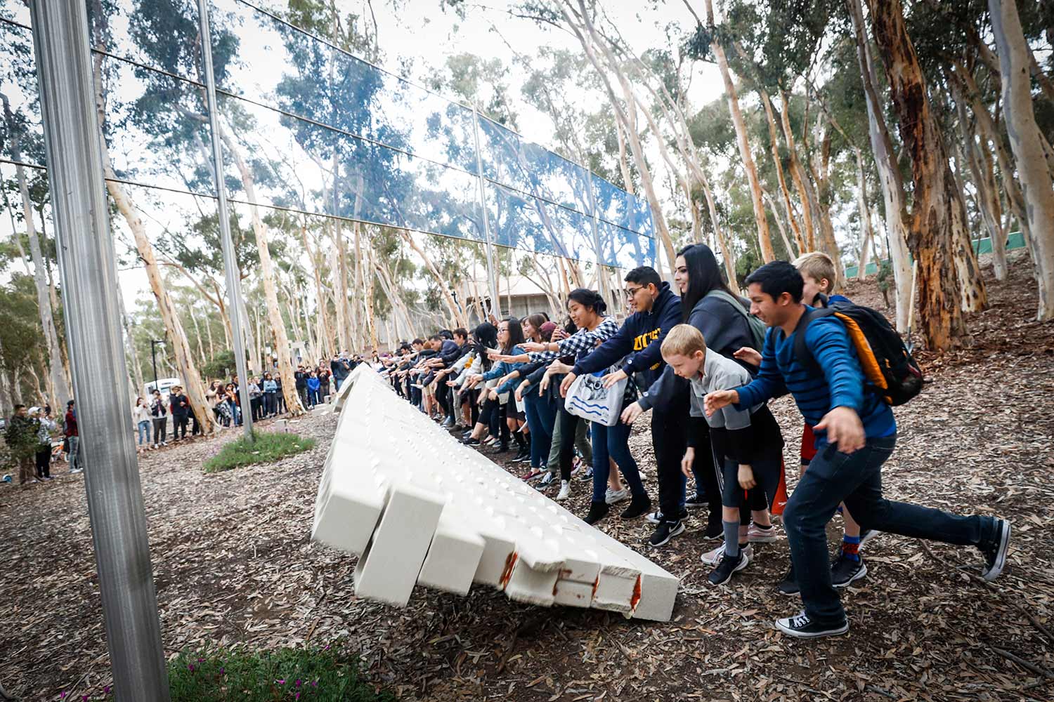 transfer students pushing down wall