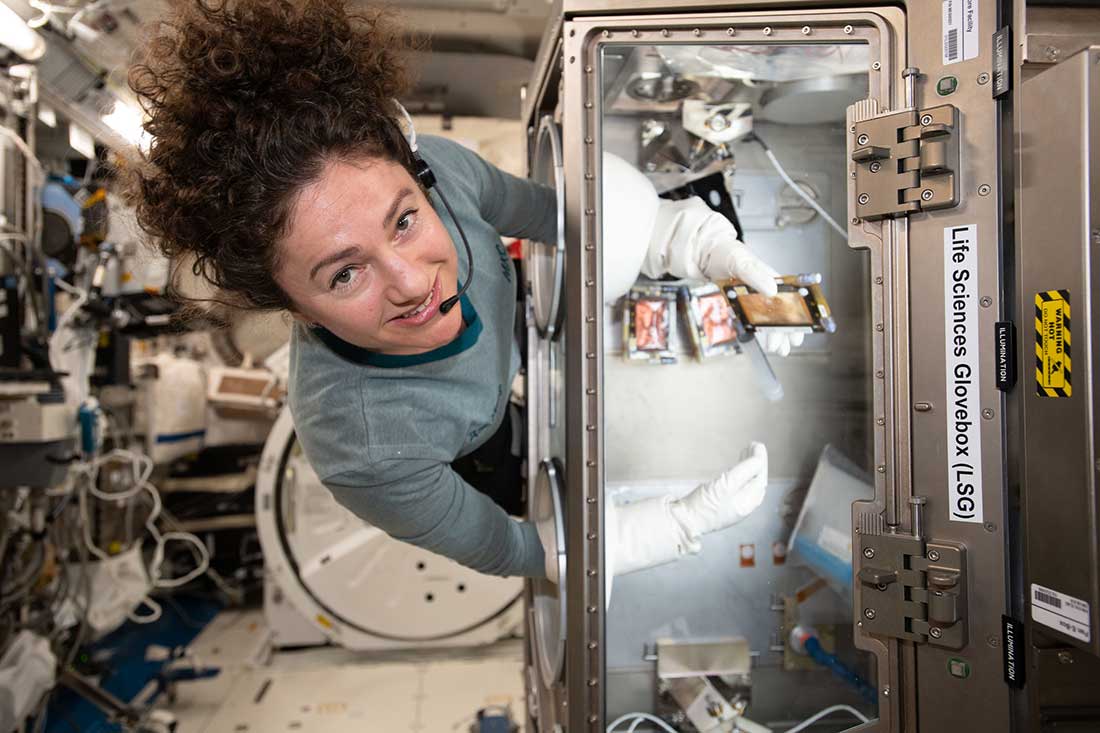 Meir conducts an experiment inside the Life Science Glovebox.