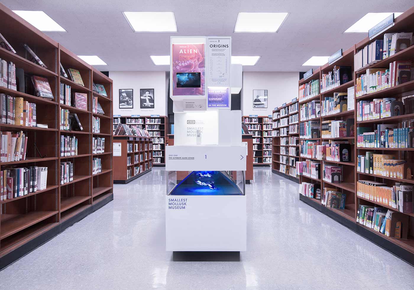 Micro museum on display in library