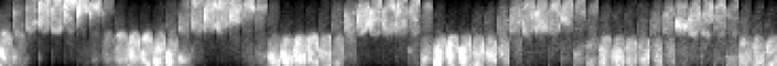 black and white zigzag pattern of min proteins
