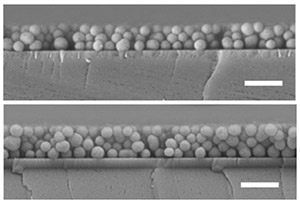 Synthetic melanin nanoparticles