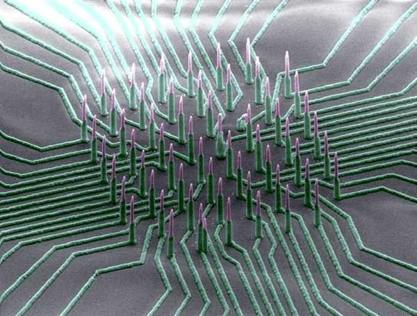 Neuron-reading nanowire