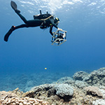 Scripps Scientists Use Photomosaic Technology to Find Order in the Chaos of Coral Reefs