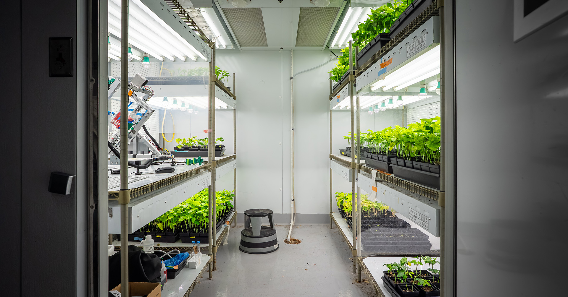 Trays of plants under grow lights line shelves inside a plain room.