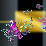 New Technique to Study How Proteins and Ligands Interact