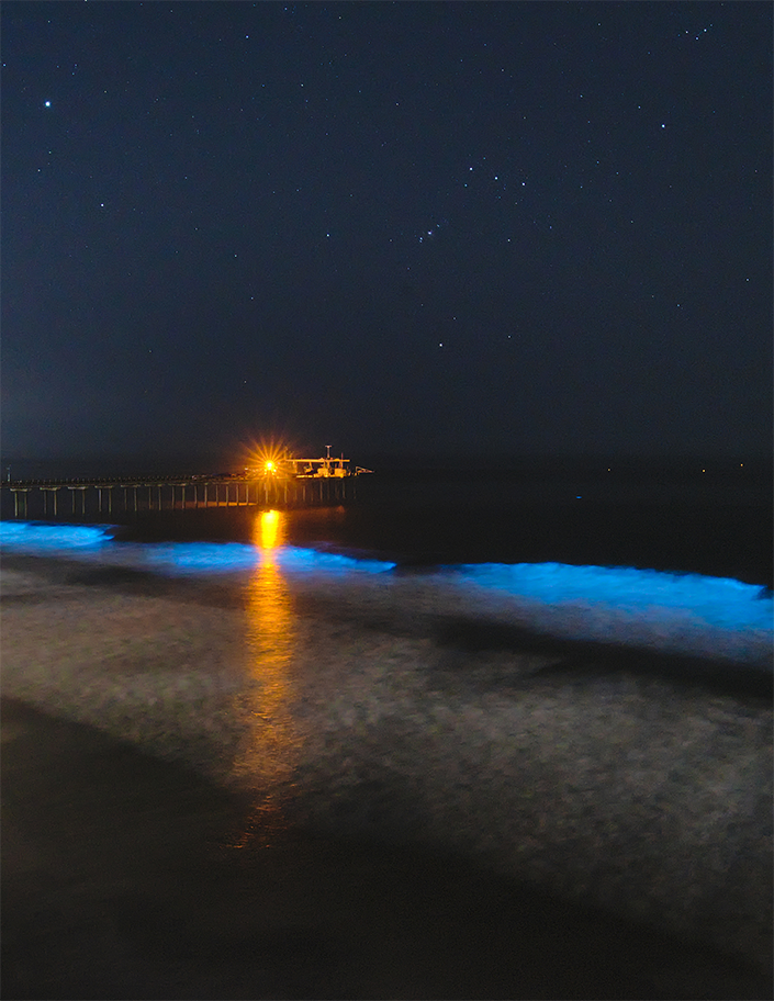 Bioluminescent waves crash on a beach at night.