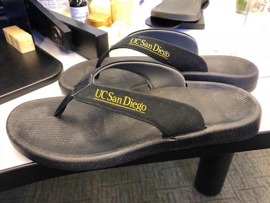 uc san diego flip flops.