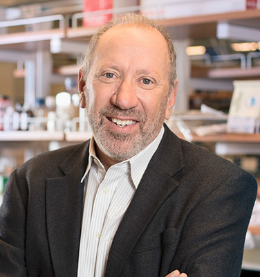 Richard L. Gallo, MD, PhD