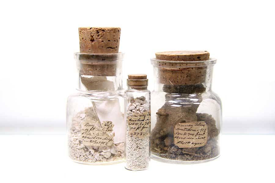 Samples of marine and terrestrial sediments from the collection of Carl Hubbs.