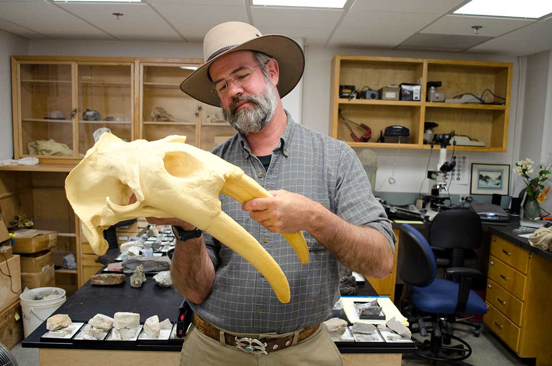 Geological Collection Curator Dick Norris with a mold of a walrus skull.