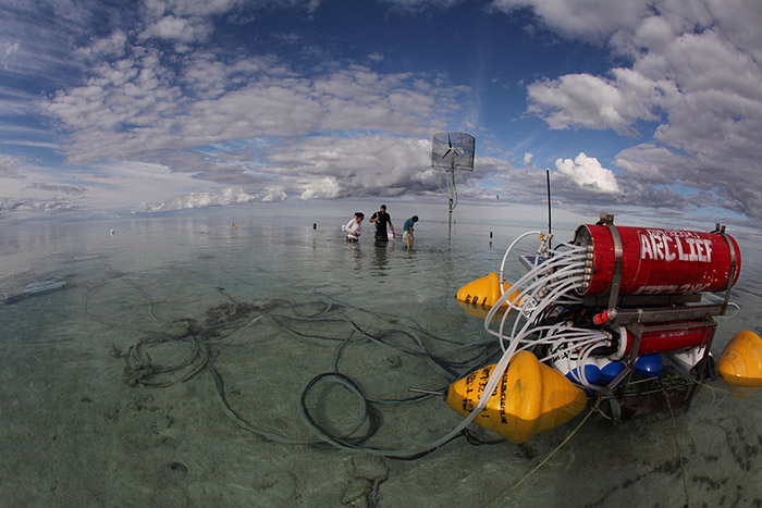 Photo: The researchers collected information on seawater at Heron Reef using an integrated sensor network