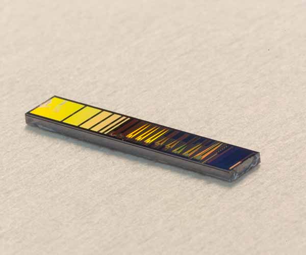 photo: silicon photonic chip 