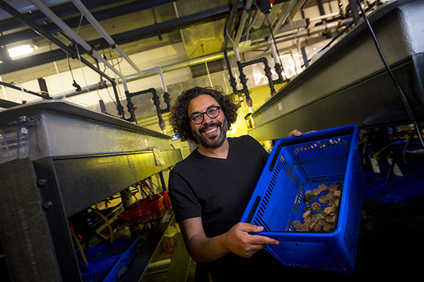 Amro Hamdoun holding a crate of sea urchins. 